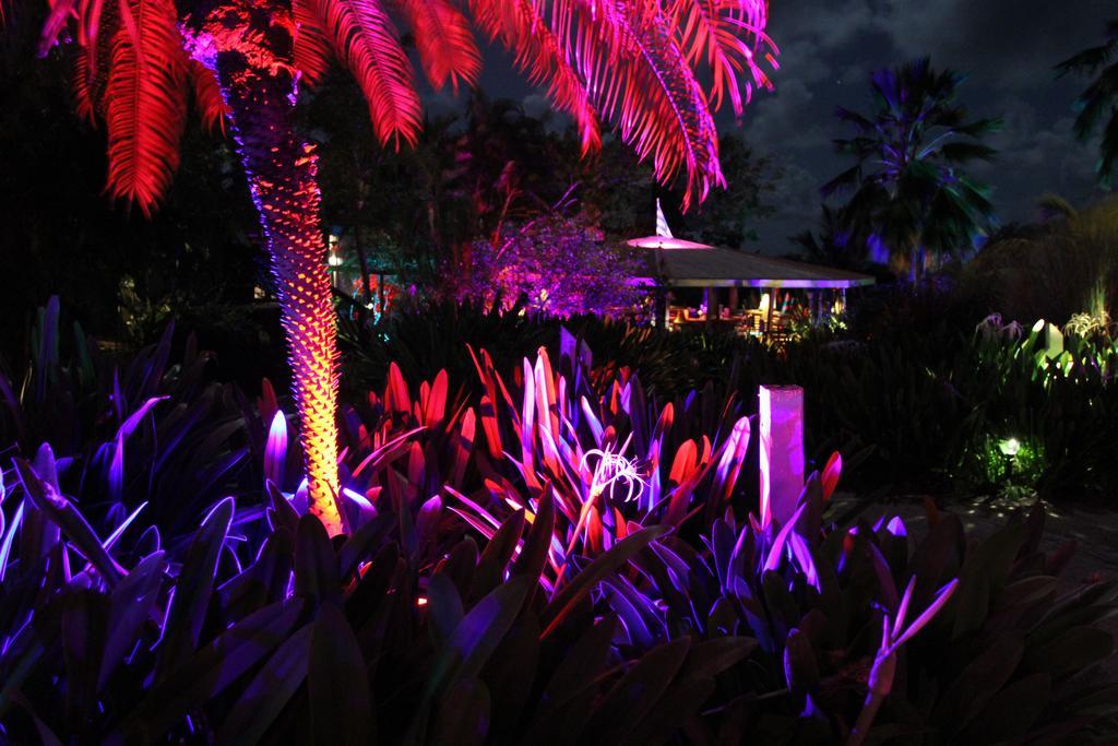 Blue Horizon Boutique Resort (Adults Only) Vieques Buitenkant foto