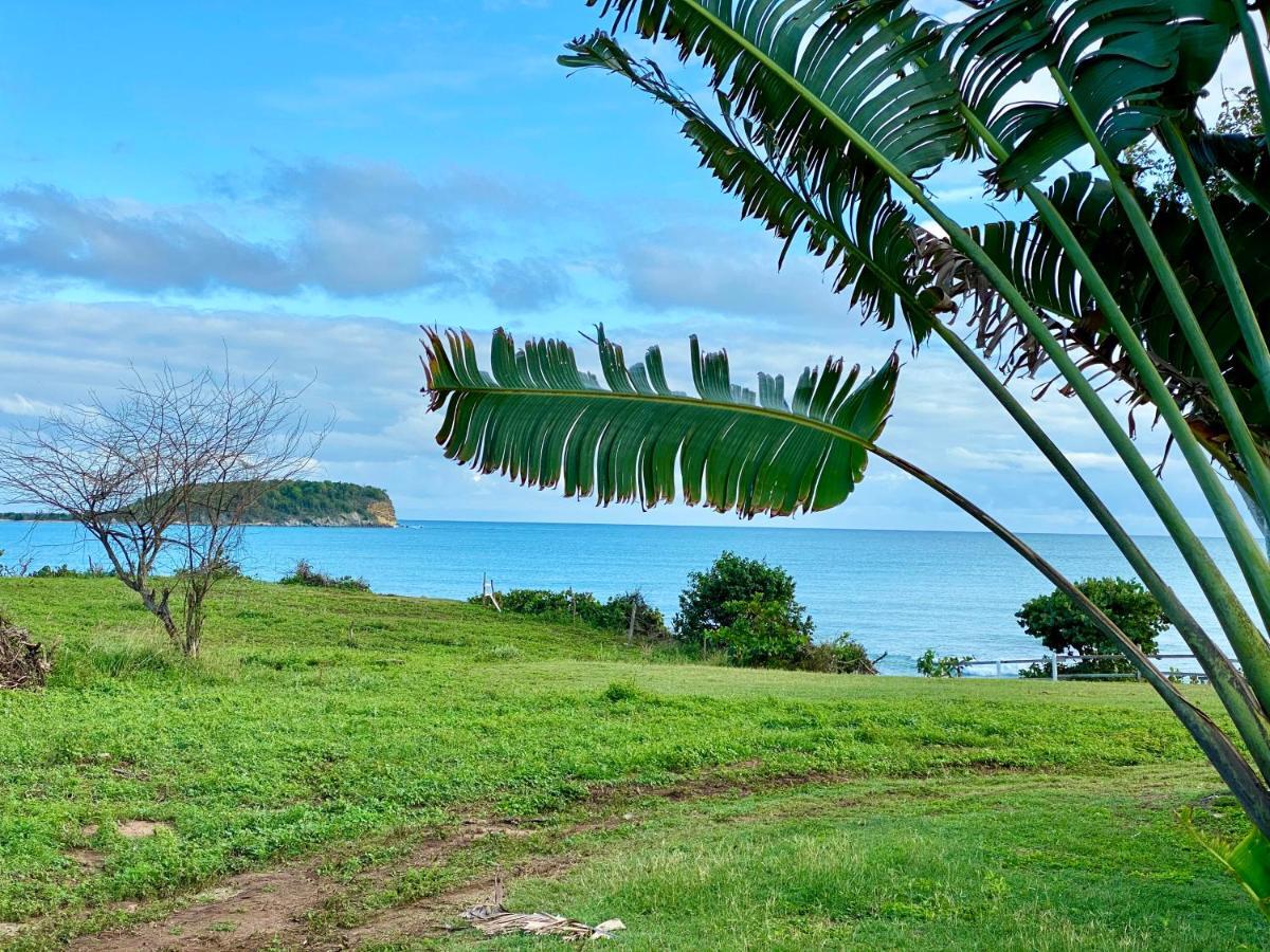 Blue Horizon Boutique Resort (Adults Only) Vieques Buitenkant foto