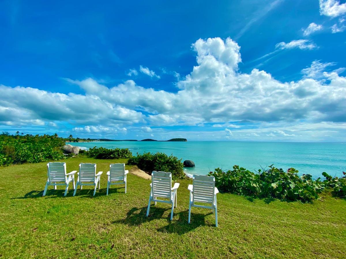 Blue Horizon Boutique Resort (Adults Only) Vieques Buitenkant foto