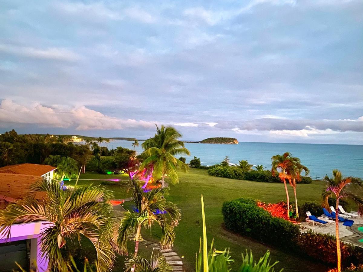 Blue Horizon Boutique Resort (Adults Only) Vieques Buitenkant foto
