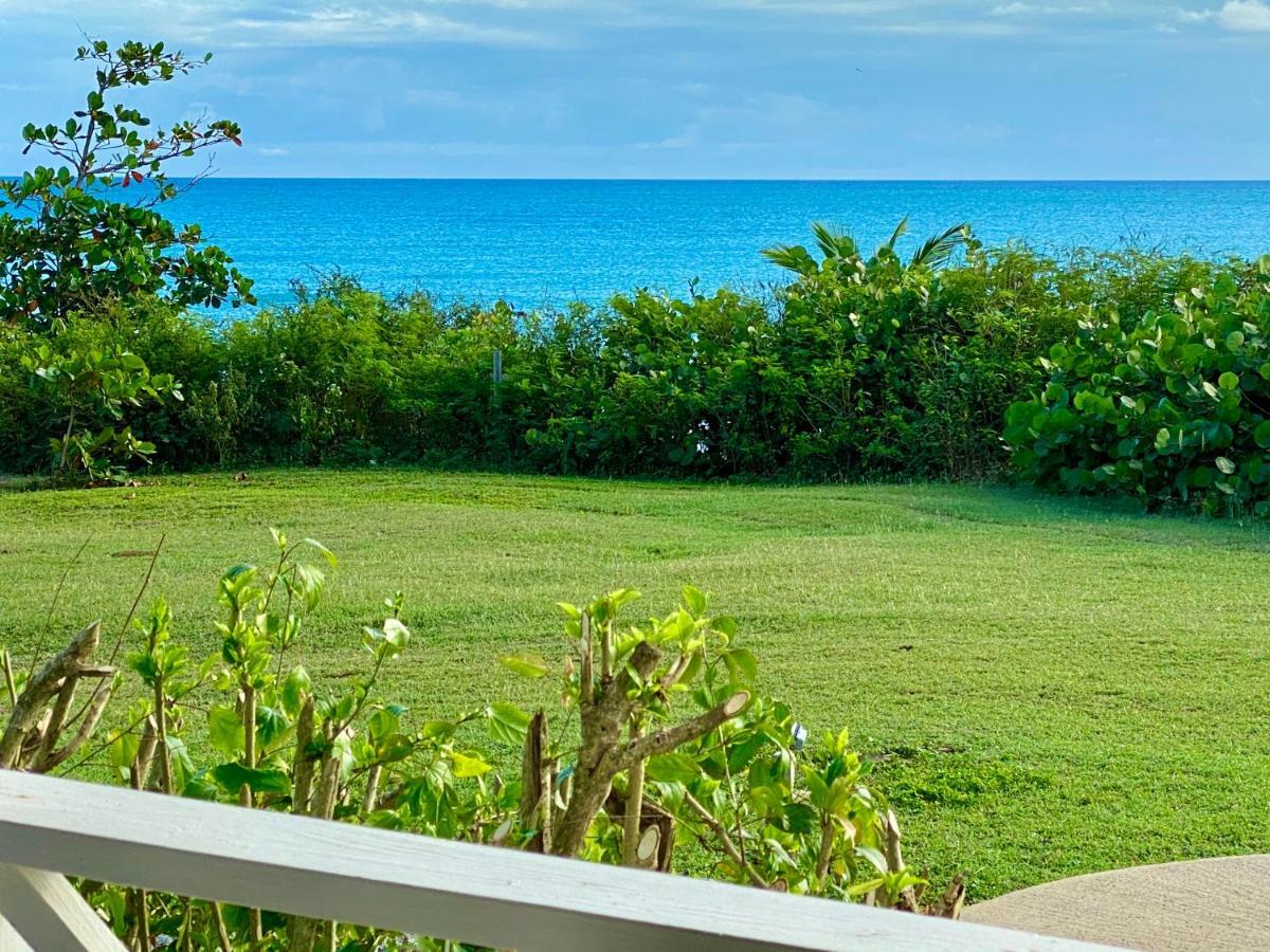 Blue Horizon Boutique Resort (Adults Only) Vieques Buitenkant foto
