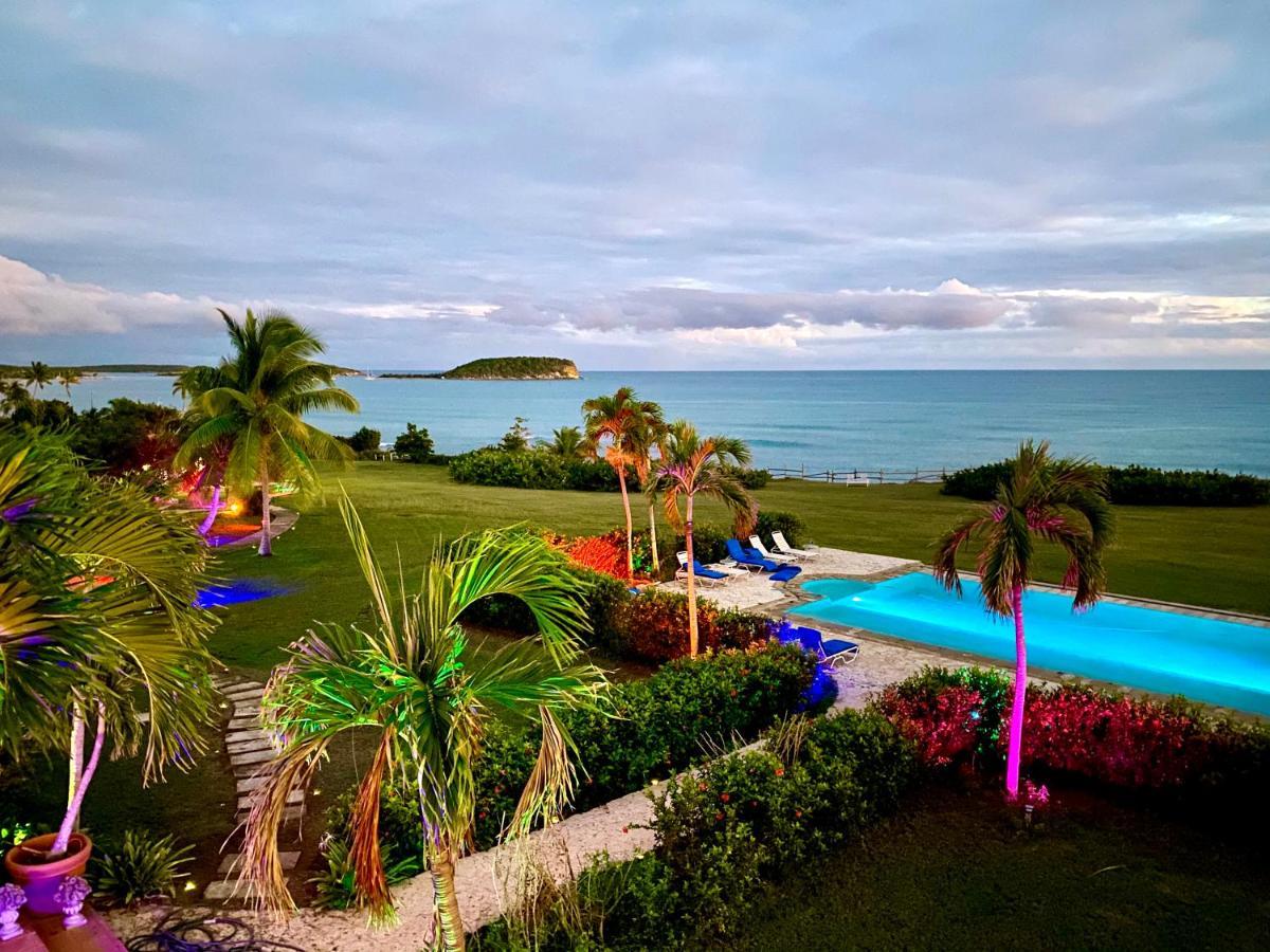 Blue Horizon Boutique Resort (Adults Only) Vieques Buitenkant foto