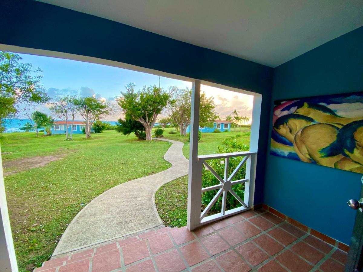 Blue Horizon Boutique Resort (Adults Only) Vieques Buitenkant foto