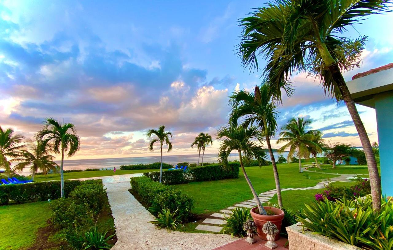 Blue Horizon Boutique Resort (Adults Only) Vieques Buitenkant foto