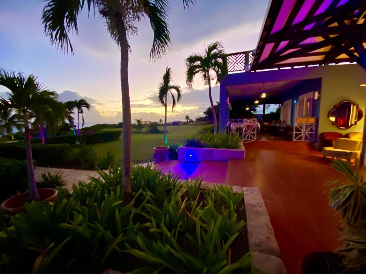 Blue Horizon Boutique Resort (Adults Only) Vieques Buitenkant foto